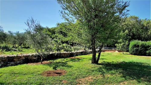 Holiday House Vela Vrta