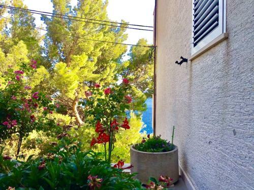 Apartment Martinovic