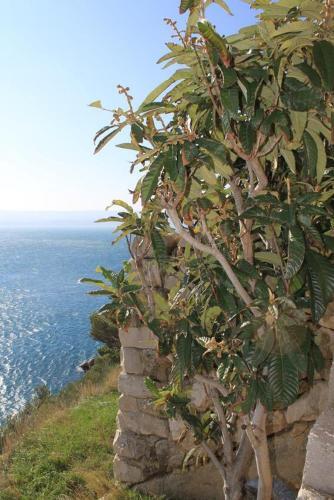 Apartments By The Sea Marusici, Omis - 8632