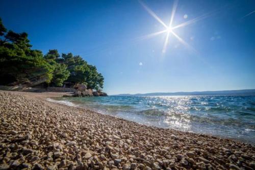 Apartman Gordana Medi?i