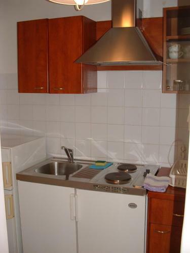Apartments Mladina