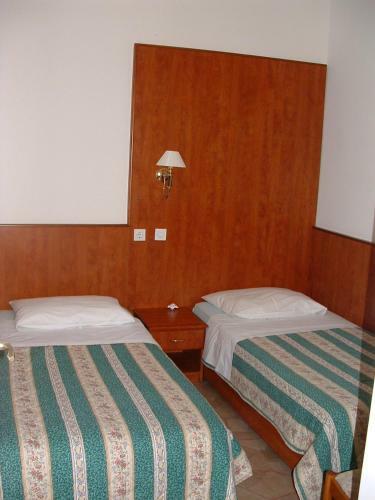 Apartments Mladina