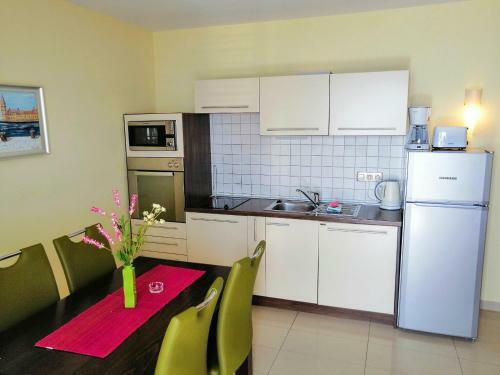 Luxury Apartments Villa Opera