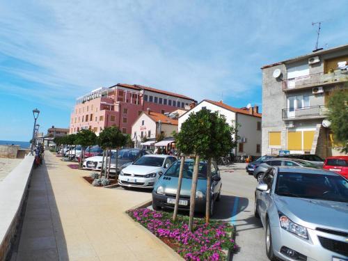 Apartments In Valbandon/istrien 8486