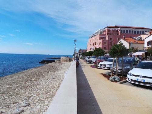 Apartments In Valbandon/istrien 8486
