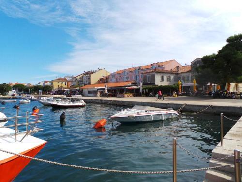 Apartments In Valbandon/istrien 8486