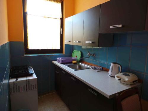 Apartment In Valbandon/istrien 8608