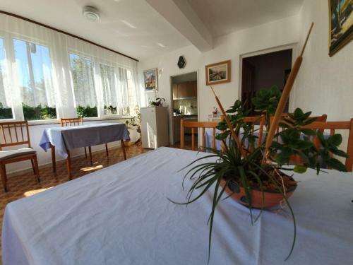 Hostal Rooms Neda Rab