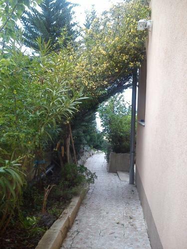 Apartman Atanasov