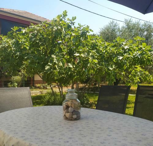 Seline Summer Home
