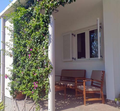 Seline Summer Home