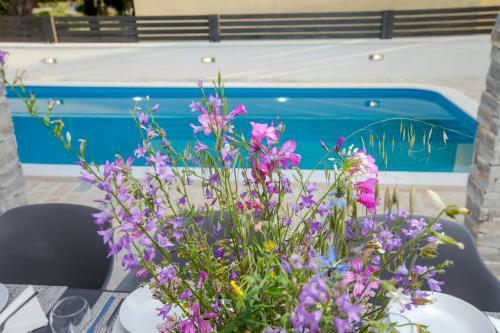 Hostal Villa Lesinger