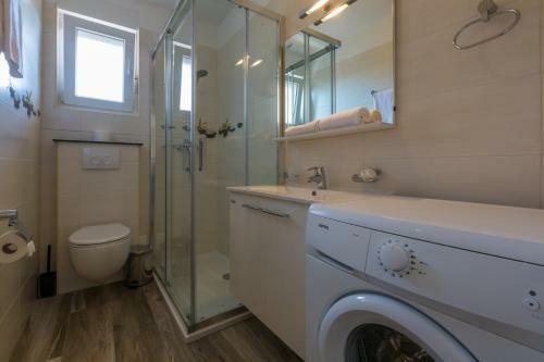 Apartamentos Domino