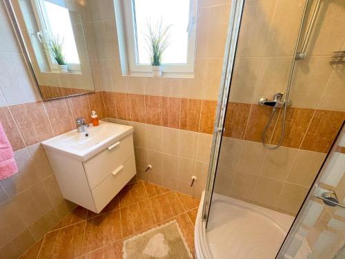 Apartment Nika 2