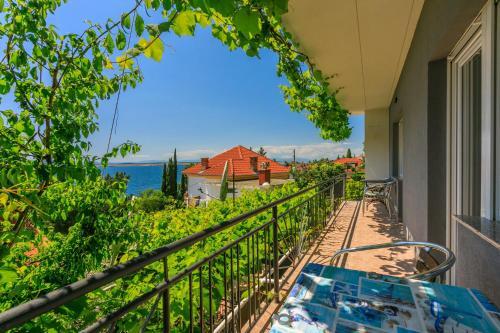 Apartments Brana