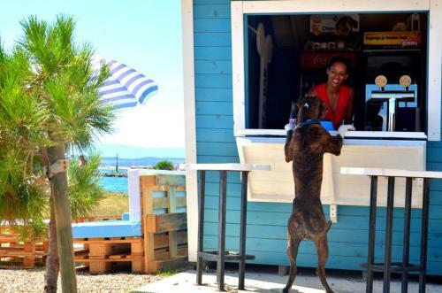Apartamento Poli Merikovih