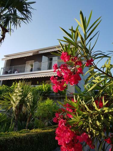 Hostal House Diana