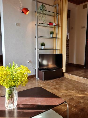 Apartmani E&g