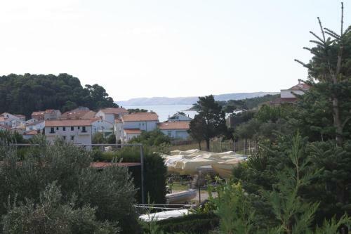 Apartments Sandra