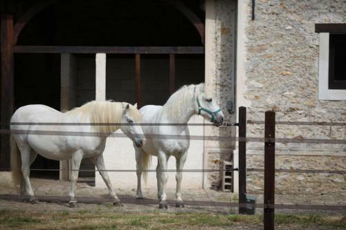 B&B Le Four � Chaux