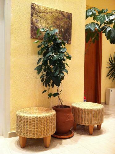 Apartamento Loxandra Studios