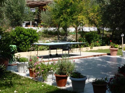 Aparthotel Olympic Bibis Hotel