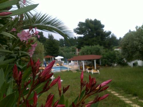Apartamento Villa Askamnia