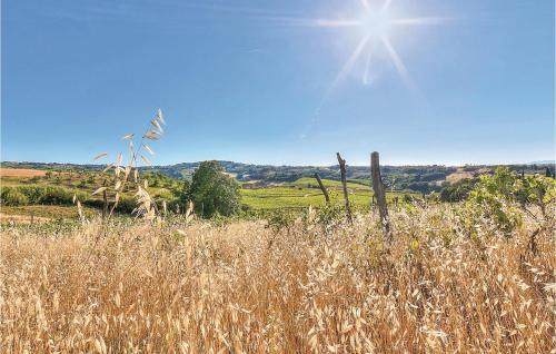 Apartamento Scipione - Podere Moricci