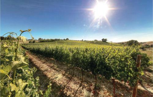 La Terrazza-podere Moricci