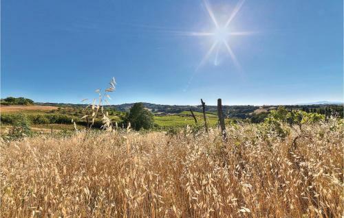 La Terrazza-podere Moricci