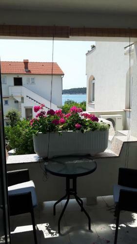 Hostal Apartmans And Rooms Petra