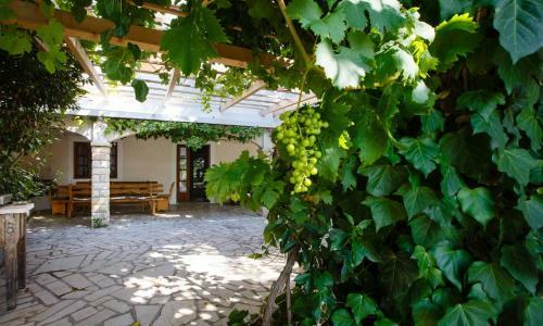 Apartamento Beach Suite Nina