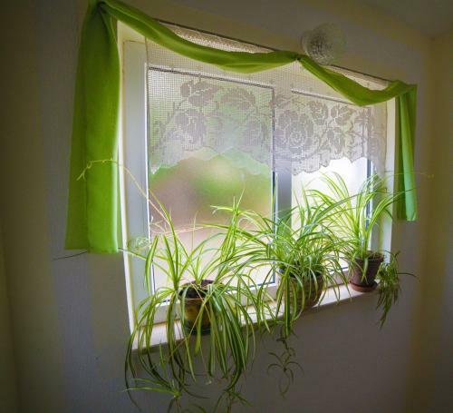 Apartamento Violet