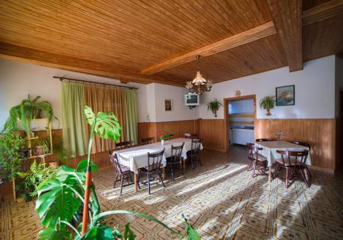 Apartamento Violet