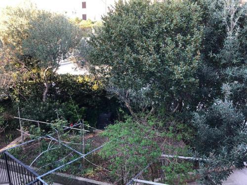 Apartment Barbat 16723b