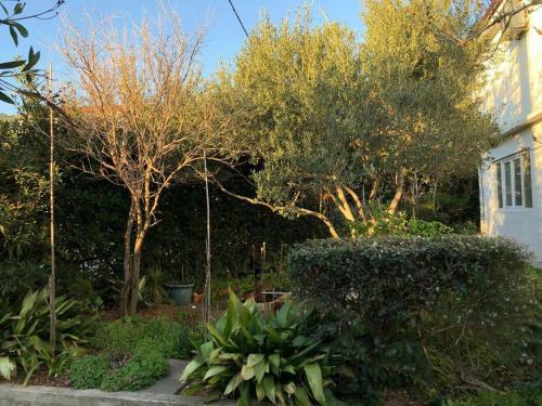 Apartment Barbat 16723b