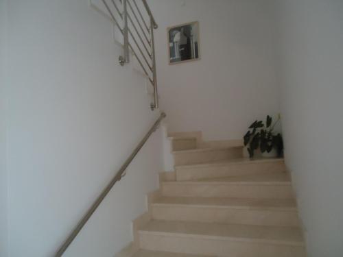 Apartamento M. De Dominisa 5