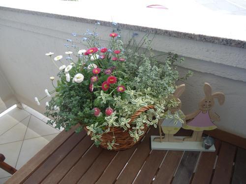 Apartamento M. De Dominisa 5
