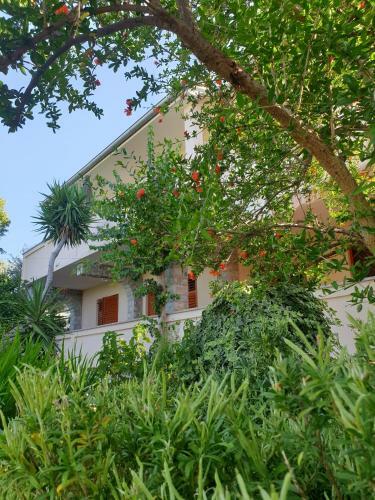 Apartments Davorka