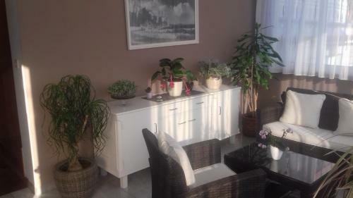 Apartman Branka
