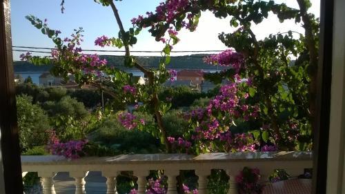 Apartment Barbat 17620c