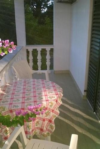 Apartment Barbat 17620c