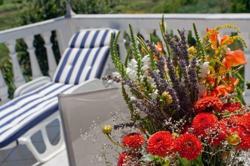 Apartmani Otok Rab