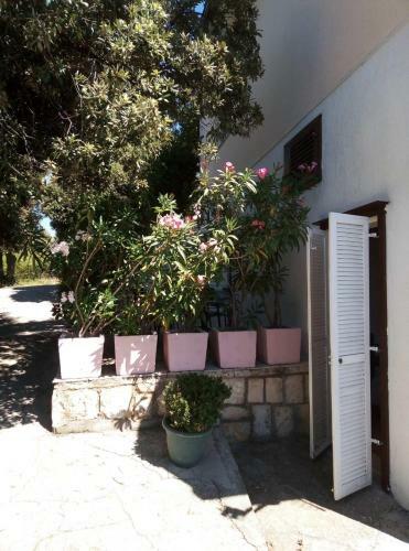 Apartments Suha Punta - Crnic