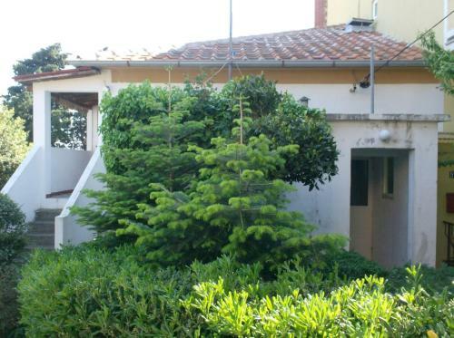 Apartments Suha Punta - Crnic