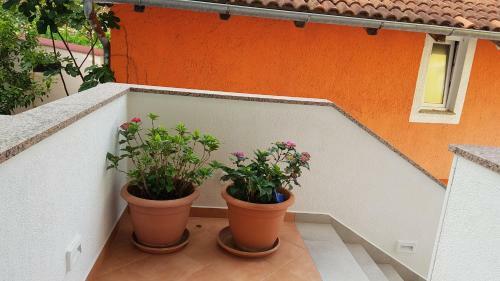Bed & Breakfast Guest House Galeb2
