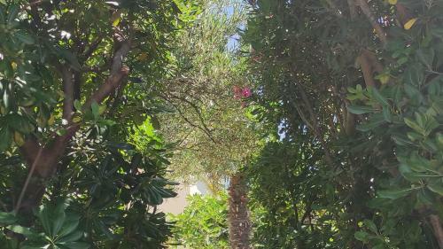 Hostal Adriatic Dream Apartments