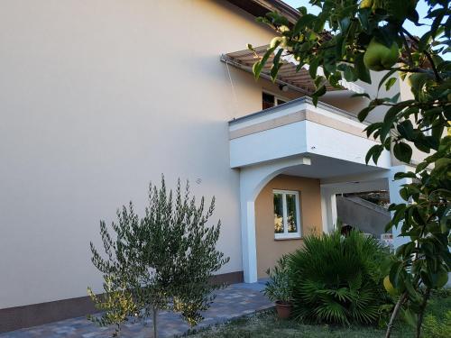 Apartmani Olivera 2