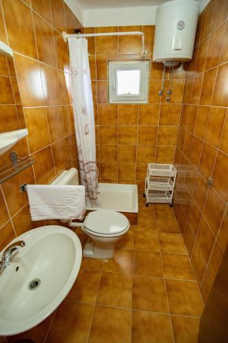 Apartment Dumi?i? 1