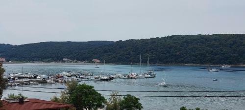 Hostal Room With Seaview 2